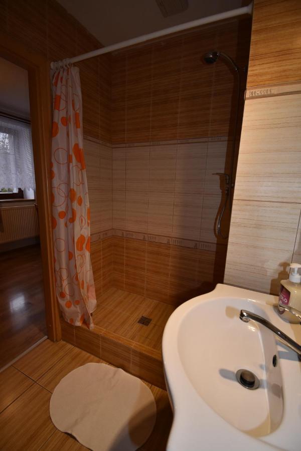 Apartmany Snezenka Destne v Orlickych horach Εξωτερικό φωτογραφία